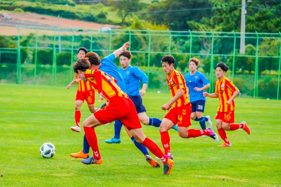 K리그 대구FC 축구단이 남해군 상주 한려해상체육공원 잔디구장에서 전지훈련을 실시하고 있다.