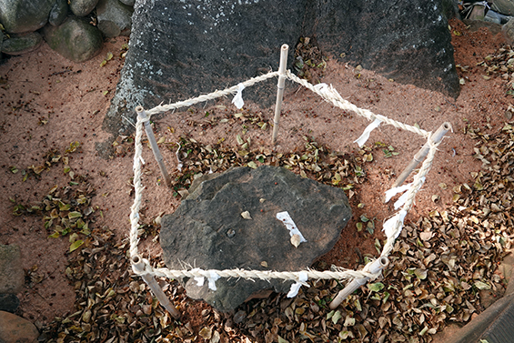 팽나무 아래에 당산제에 사용된 제밥을 묻는 ‘밥무덤’이 있다