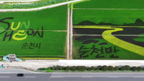 순천시 별량면주민자치회의 ‘논아트’ 특화사업