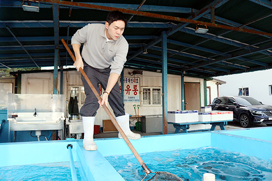 박현석 대표는 당일 양식장에서 들여온 고등어와 참돔 등을 손질, 가공해 24시간 이내로 전국에 발송한다